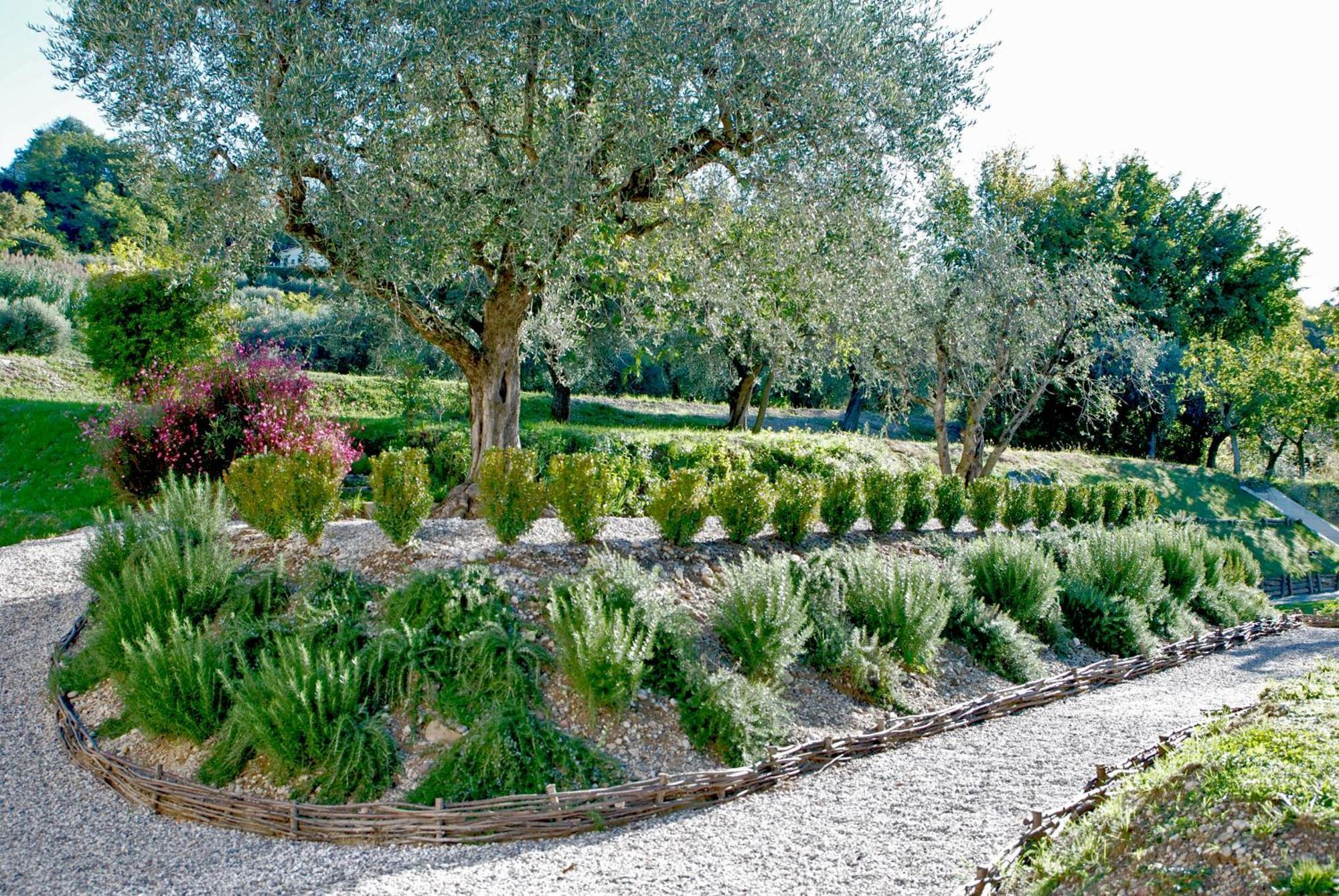 Villa Prati Palai à Bardolino Extérieur photo